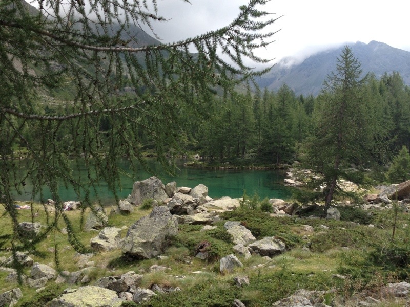 20130816-225622.jpg