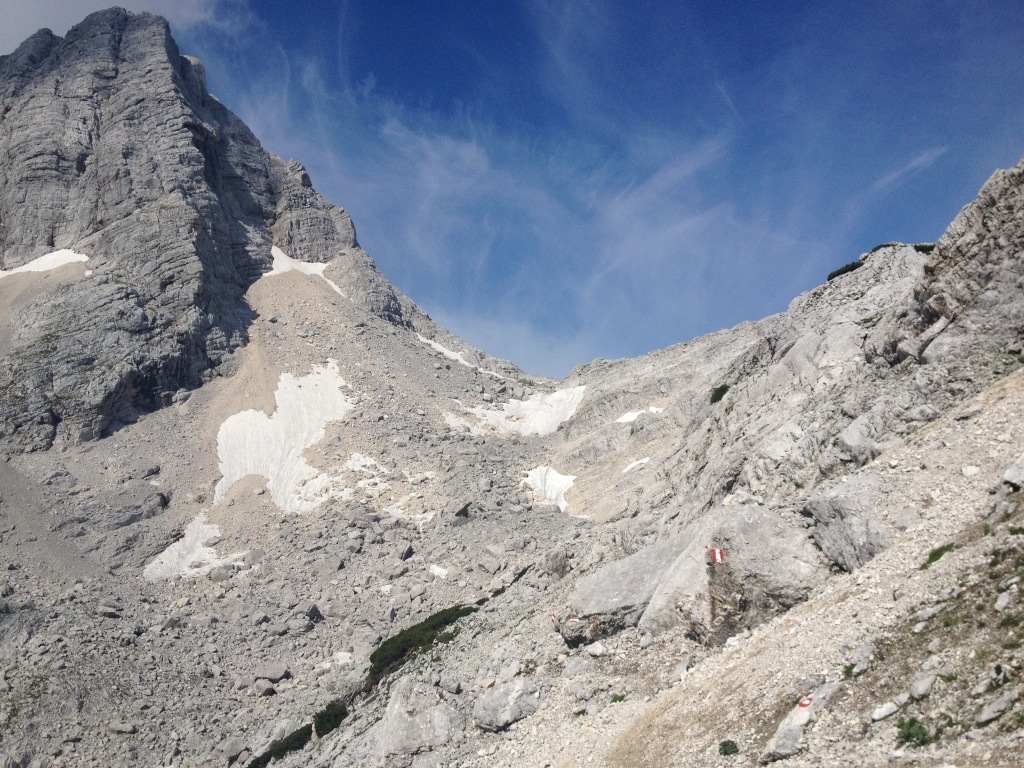 20140809-191206.jpg
